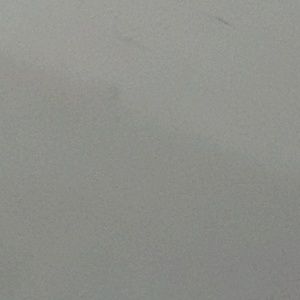 Meet your Posher, Lily